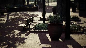 empty city park during the covid 19 pandemic photo