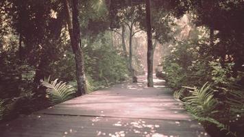 Wooden path track from planks in forest park photo