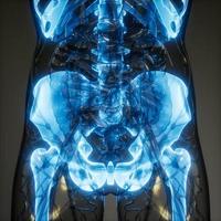 Transparent Human Body with Visible Bones photo