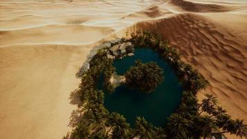 top down aerial view of oasis in desert photo