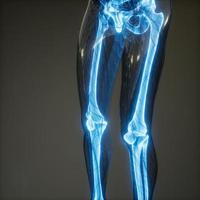 Transparent Human Body with Visible Bones photo