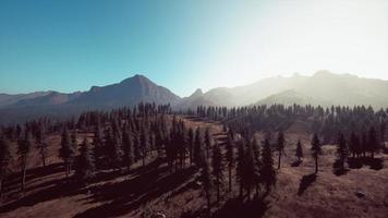 Landscape view of the mountain range with trees in the fall photo