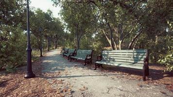 Empty benches at public park during curfew cause of Corona Virus quarantine photo