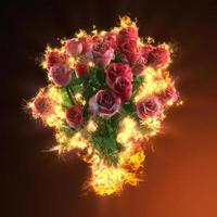 red roses in fire photo