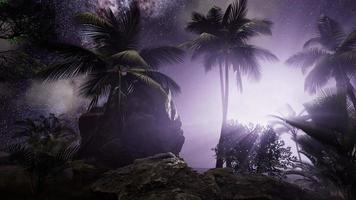 galaxia de la vía láctea sobre la selva tropical. foto
