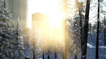 sity and forest in snow at sunrise photo