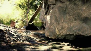 shot taken from inside a small cave looking out photo