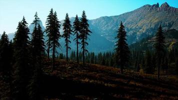 vista del paisaje de la cordillera con árboles en otoño foto