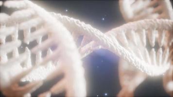 double helical structure of dna strand close-up animation photo