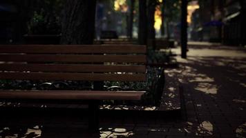 empty city park during the covid 19 pandemic photo