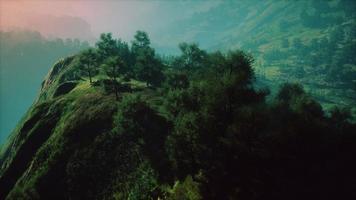 árboles verdes en el cañón al atardecer con niebla foto