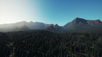Aerial view over Mountain range with pine forest in Bavaria photo