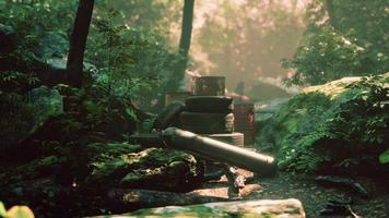 discarded car tires in the forest photo