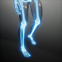 Transparent Human Body with Visible Bones photo