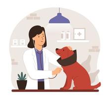 mujer veterinaria revisando al perro vector