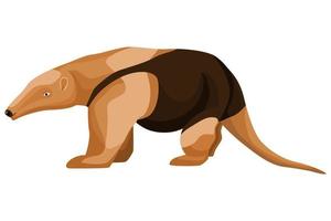 Anteater illustration on isolated white background. vector