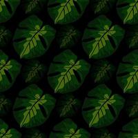 Dark seamless pattern with green monstera shapes. Black background. Houseplant palm artwork. vector