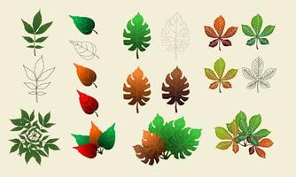 Set of five different leaves illustration creation set vector