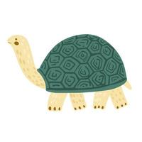 Turtle isolated on white background. Cute cartoon character tortoise. vector