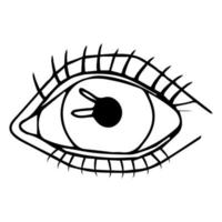 Eye isolated on white background. Human anatomy in doodle style. vector