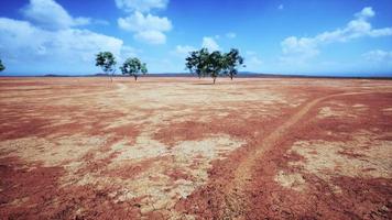 cracked ground dry land during the dry season photo