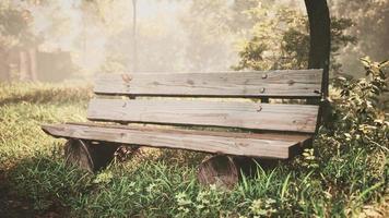 Wooden bench in nature by the tree photo