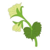 green pea flower with leaf. spring of greenery. Vegetarian food. micro-green. eco-friendly farm product vector