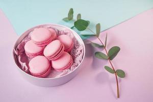 deliciosos macarons caseros rosados en caja redonda y rama de eucalipto sobre fondo violeta y mentol foto