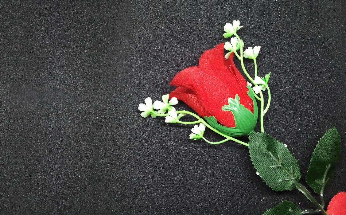 Rose Embroidery Stock Photos, Images and Backgrounds for Free Download