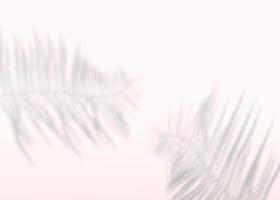 Abstract background of shadows palm leaves on a wall. 3d rendering. photo
