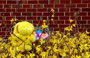 Colorful easter eggs in nest on meadow photo