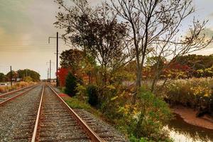 Railway track beautiful autumn forest bright warm photo