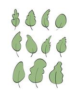 Set of hand-drawn green leaves in doodle style. Elements for the design of postcards, books, menus or advertising. Isolated on white background. illustration. vector