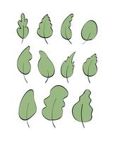 Set of hand-drawn green leaves in doodle style. Elements for the design of postcards, books, menus or advertising. Isolated on white background. Vector illustration.