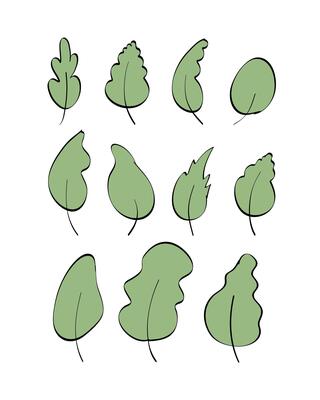 Set of hand-drawn green leaves in doodle style. Elements for the design of postcards, books, menus or advertising. Isolated on white background. illustration.