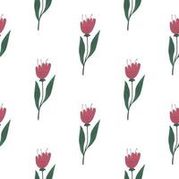 Wildflower seamless pattern isolated on white background . vector