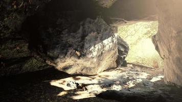 impresionante paisaje de brillantes rayos de sol cayendo dentro de una cueva iluminando