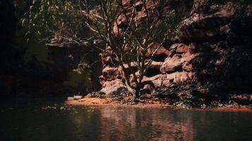 Panoramic view of Colorado River video