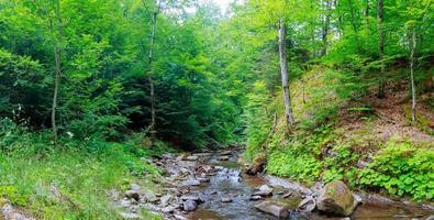 Spring time along the Little Pigeon River in the photo