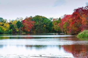 colorful autumn forest lake river sky clouds Cirrus photo