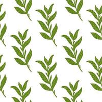 Botanic seamless isolated pattern with simple green leaf branches ornament. White background. vector