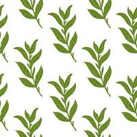 Botanic seamless isolated pattern with simple green leaf branches ornament. White background. vector