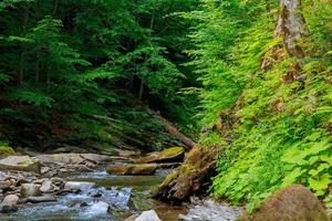 Spring time along the Little Pigeon River in the photo