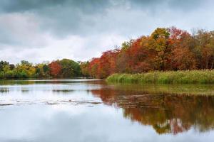 Colorful autumn trees on the lake photo