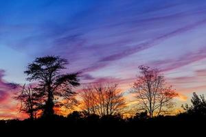 Sunset with sun rays photo