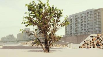 lege parkeerplaatsen op het strand bedekt met asfalt video