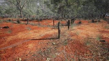 cerca de arame de areias esfregadas laranja e pequenas árvores video