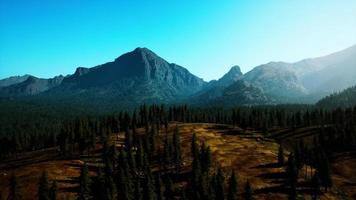 Rocky mountain range with trees video