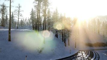 Flight above Winter Forest video