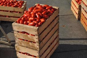 Tomato vegetables in a crate
